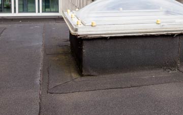 disadvantages of West Knighton flat roofs