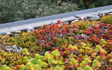 the cost of West Knighton green roof installation