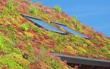 West Knighton living roof systems