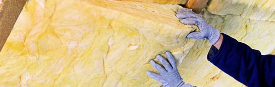 quotes for West Knighton roof insulation