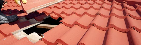 compare West Knighton roof repair quotes