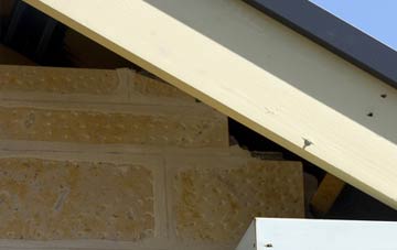 soffit repair West Knighton