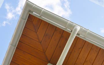 West Knighton soffit types