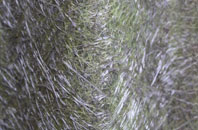 West Knighton fibreglass roof work