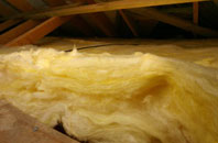 West Knighton pitch roof insulation