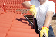 West Knighton roof cleaners