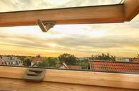rated West Knighton roof window companies